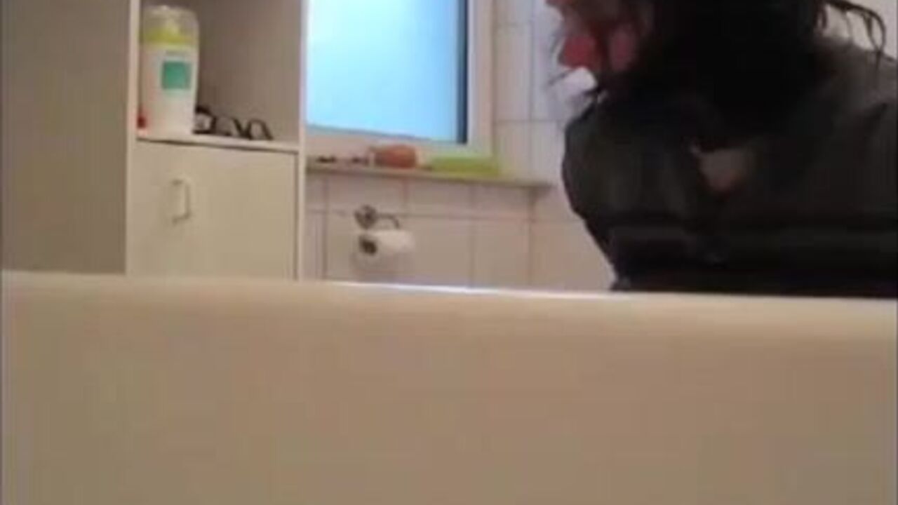 Watch this kinky brunette slave shitting in the bathtub while getting her hot butt pounded