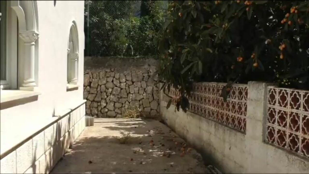 Nathalie's beautiful scat is a must-see!