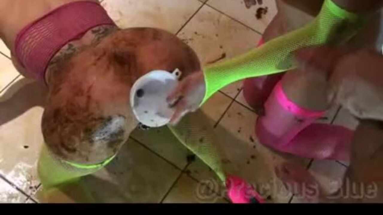 Watch Part 2 of the Scat Bathroom Threesome with Piss and Wet Babes!