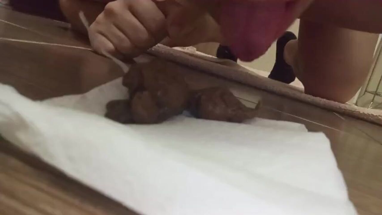 Get off with some scat-licking action and filthy talk