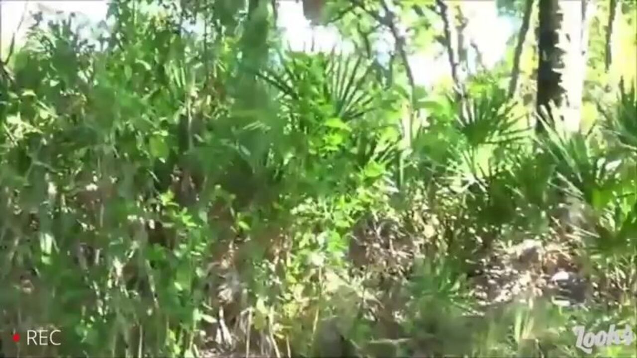 Watch as scat porn videos of poop girls getting fucked hard and deep in their own scat