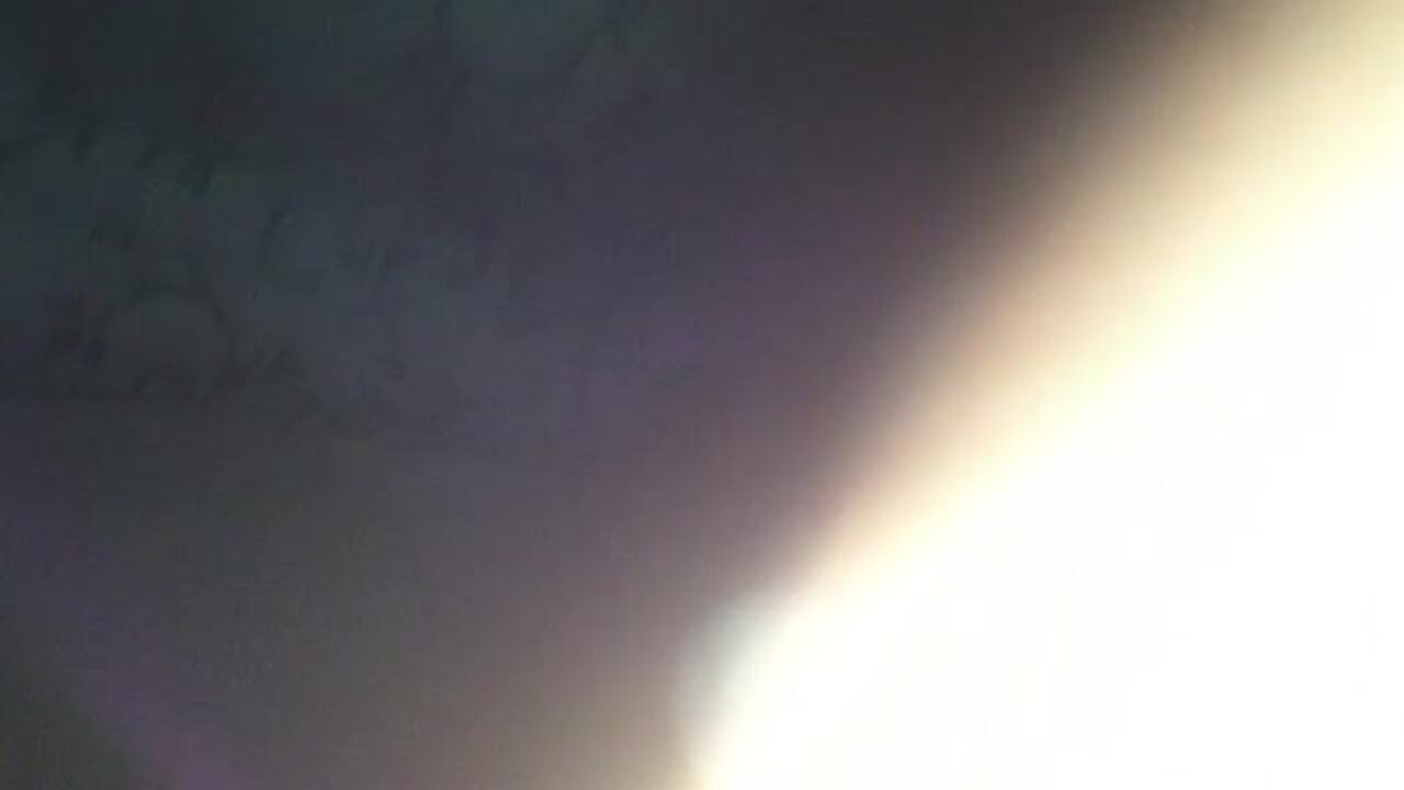 Watch this filthy slut get a scat surprise in the toilet