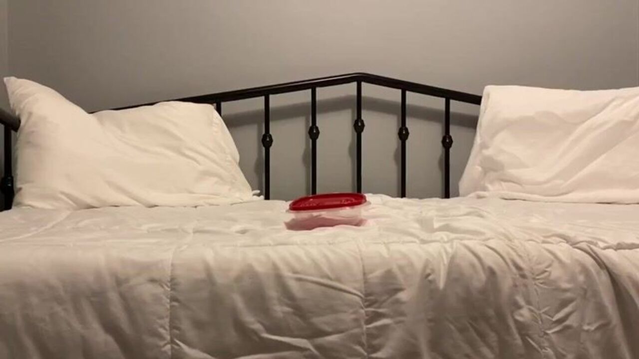 Watch these filthy sluts scat and get pounded in a sale to pay for their scatting debts