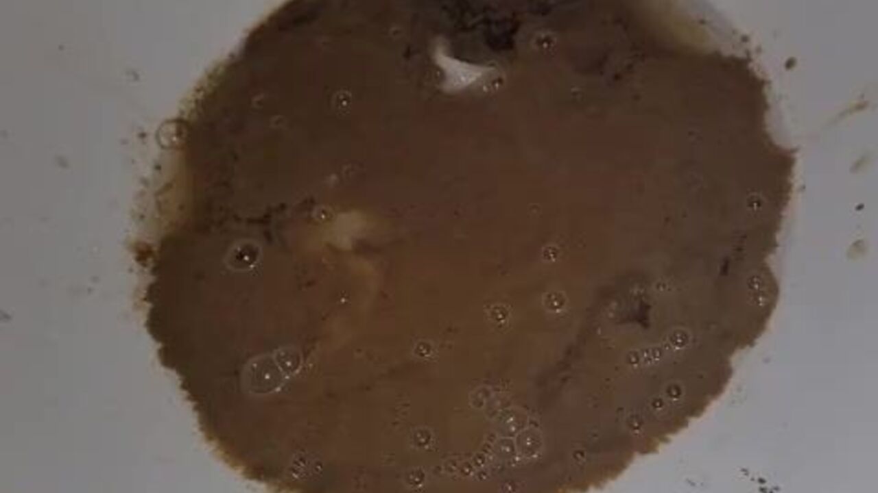 Get ready to gag on this filthy piggy slut's filthy scat and clit party