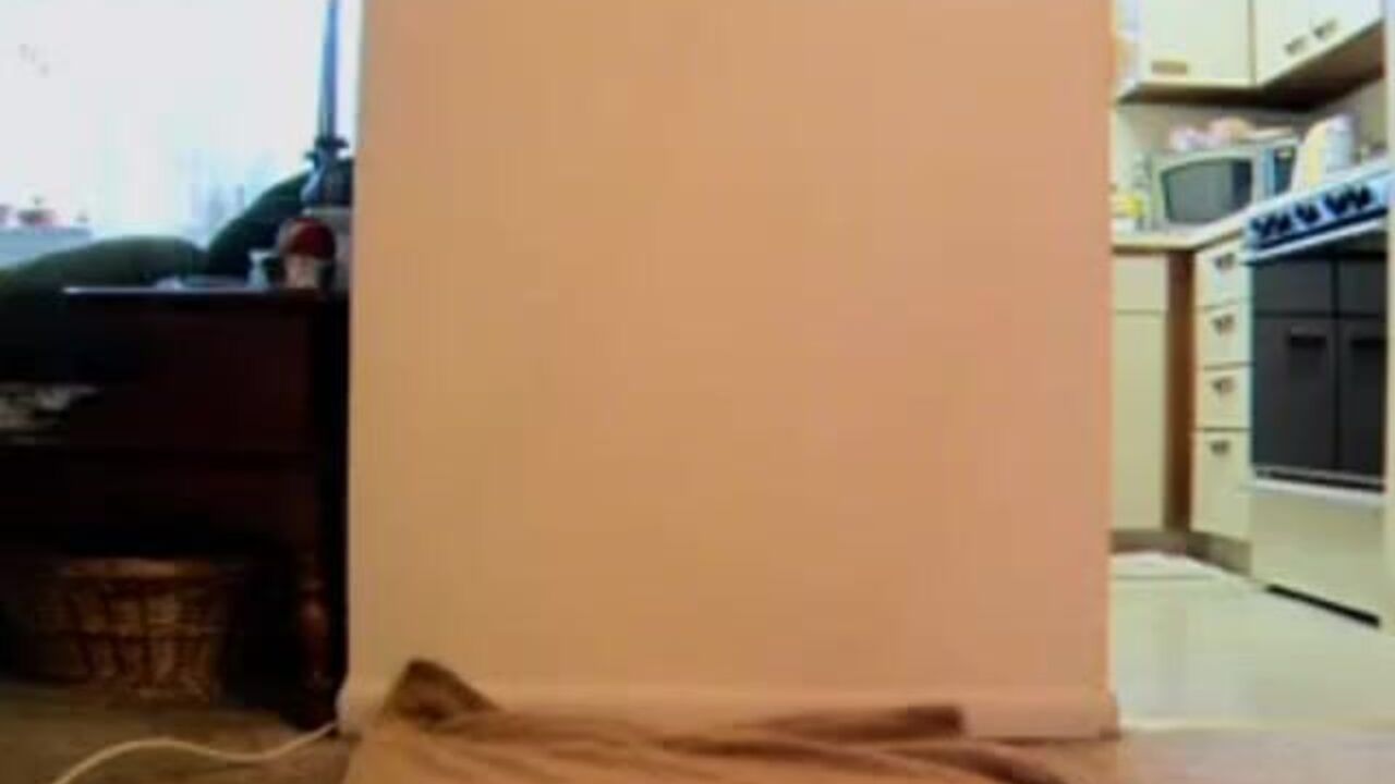 Watch this chubby amateur milf smeared and sucked dry