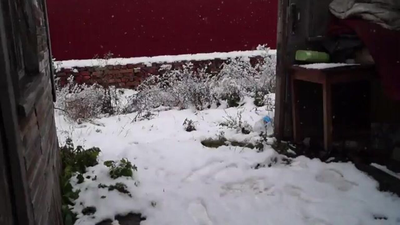 Watch this kinky slave get her pussy pounded in the snow