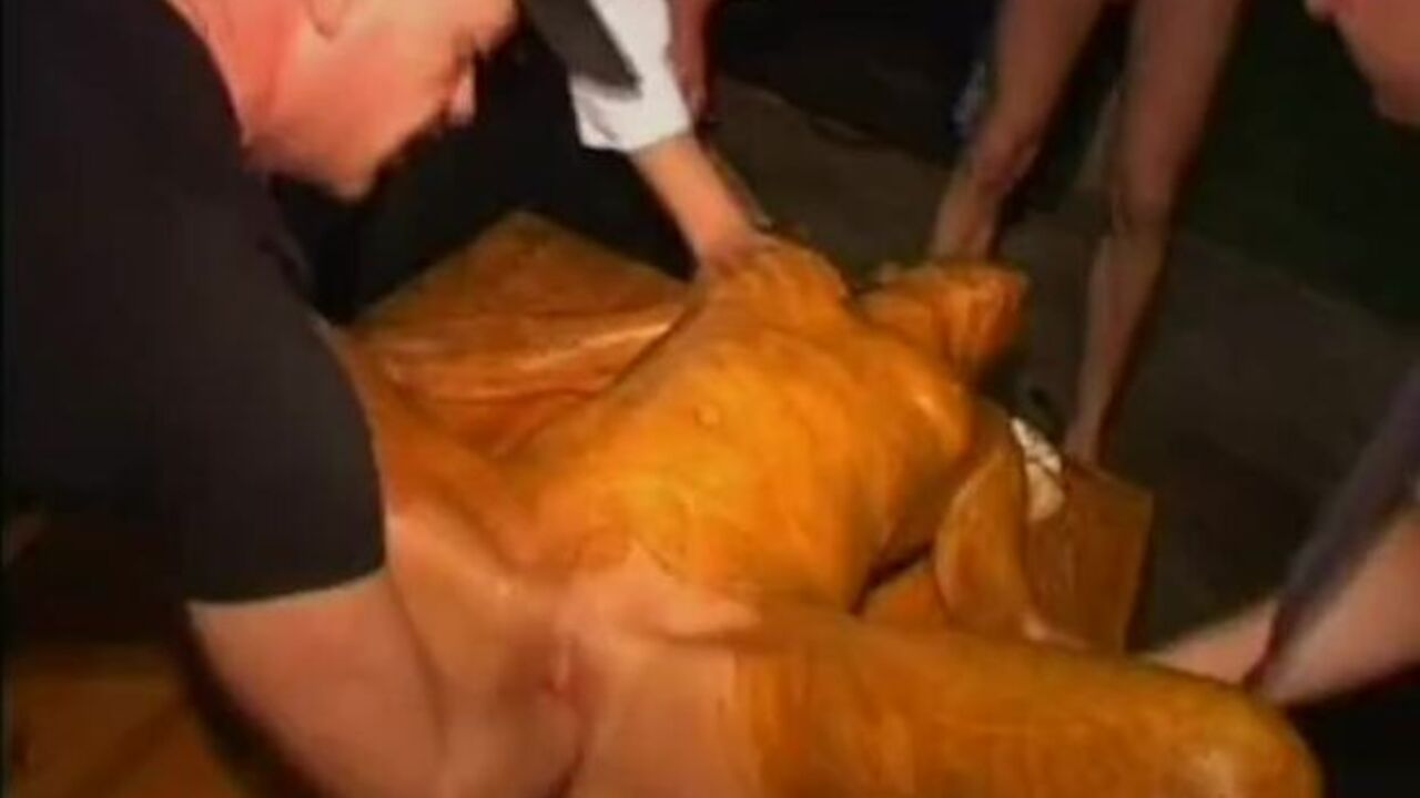 Watch this kinky chick get a hot fisting in her scat