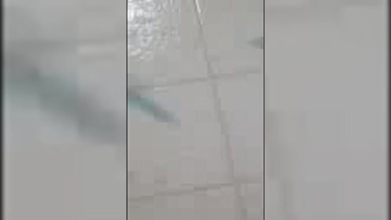 Watch this filthy slut get down and dirty with her ass and sloppy poo