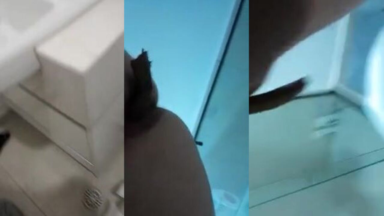 Get ready to stroke your load out in this kinky scat porn video