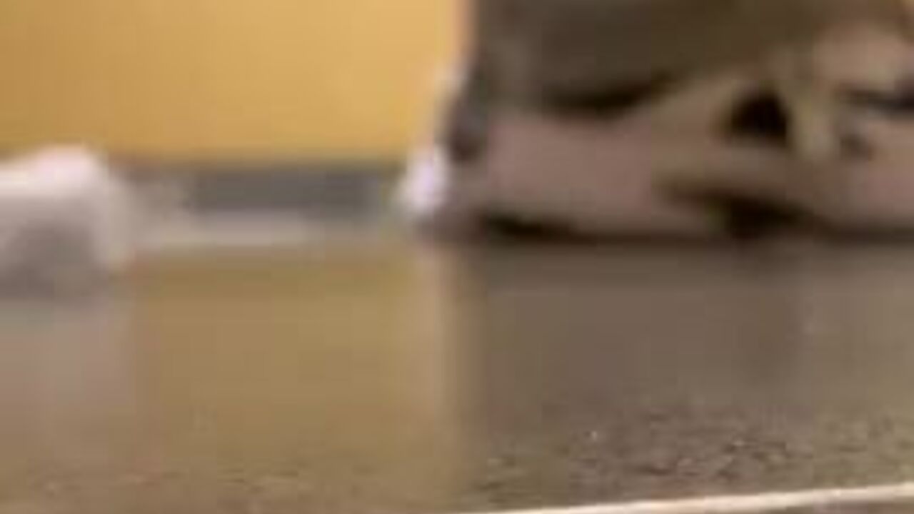 Watch this hot guy get down and dirty with his scat in the toilet