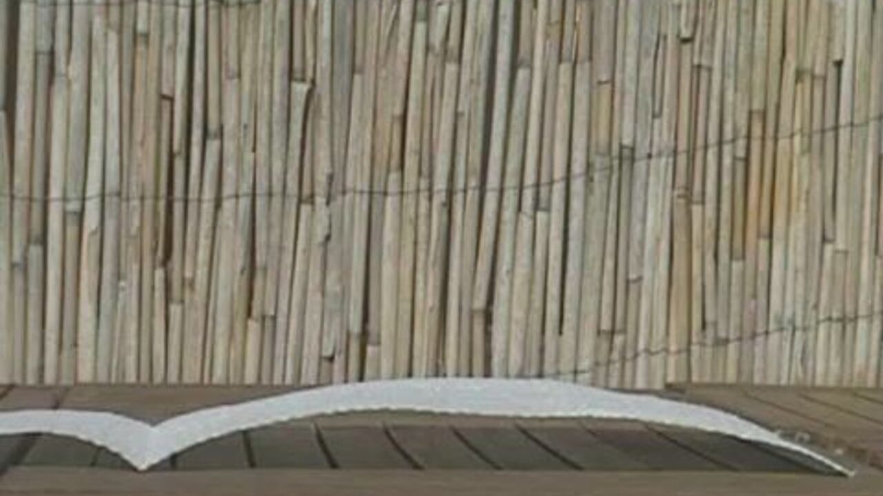 Watch this filthy scat video of a slave getting her big juicy ass drilled hard and deep