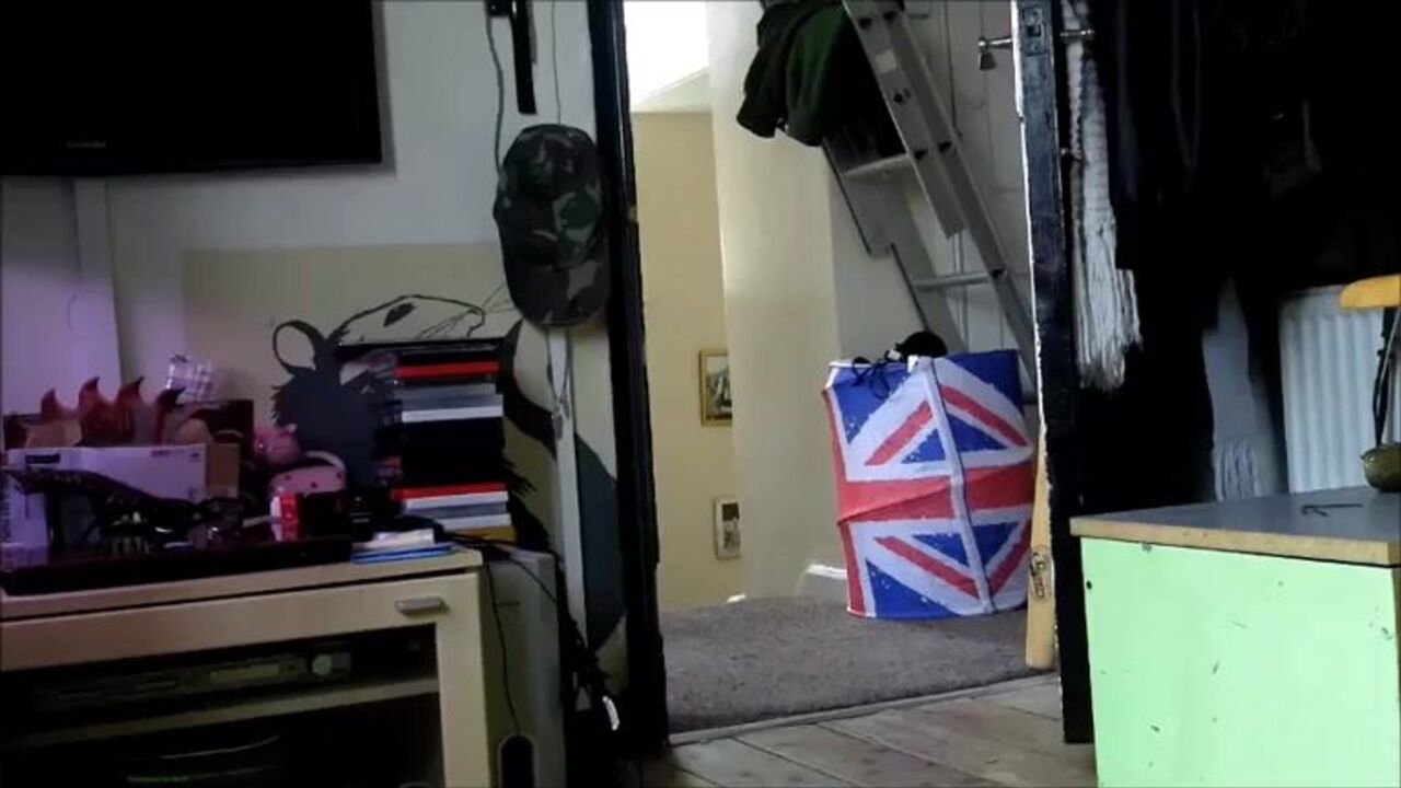 Watch this scat-loving slut get off by peeing and masturbating in her own filth