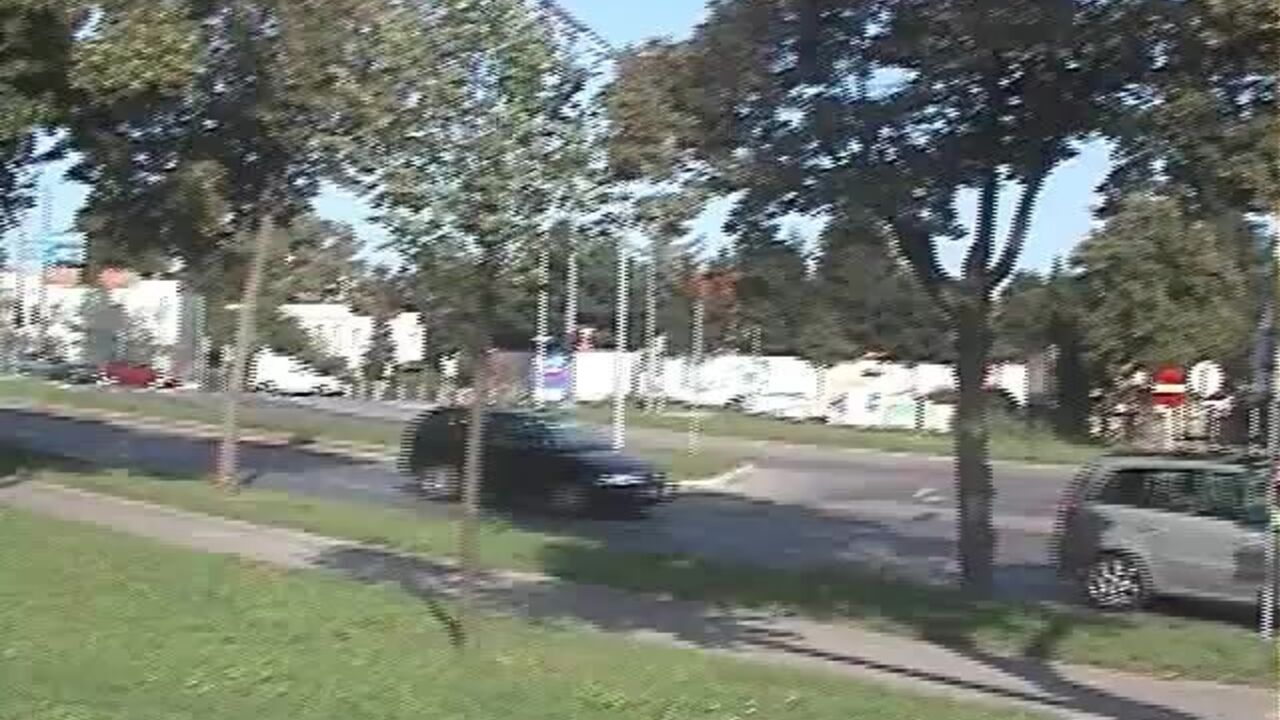 Watch these kinky slaves get their pussies stuffed with scat and scatporn