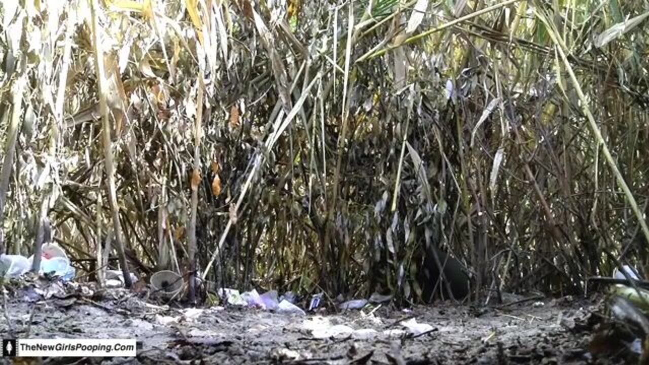 Watch these filthy scats get wild and filthy in this scat porn video!