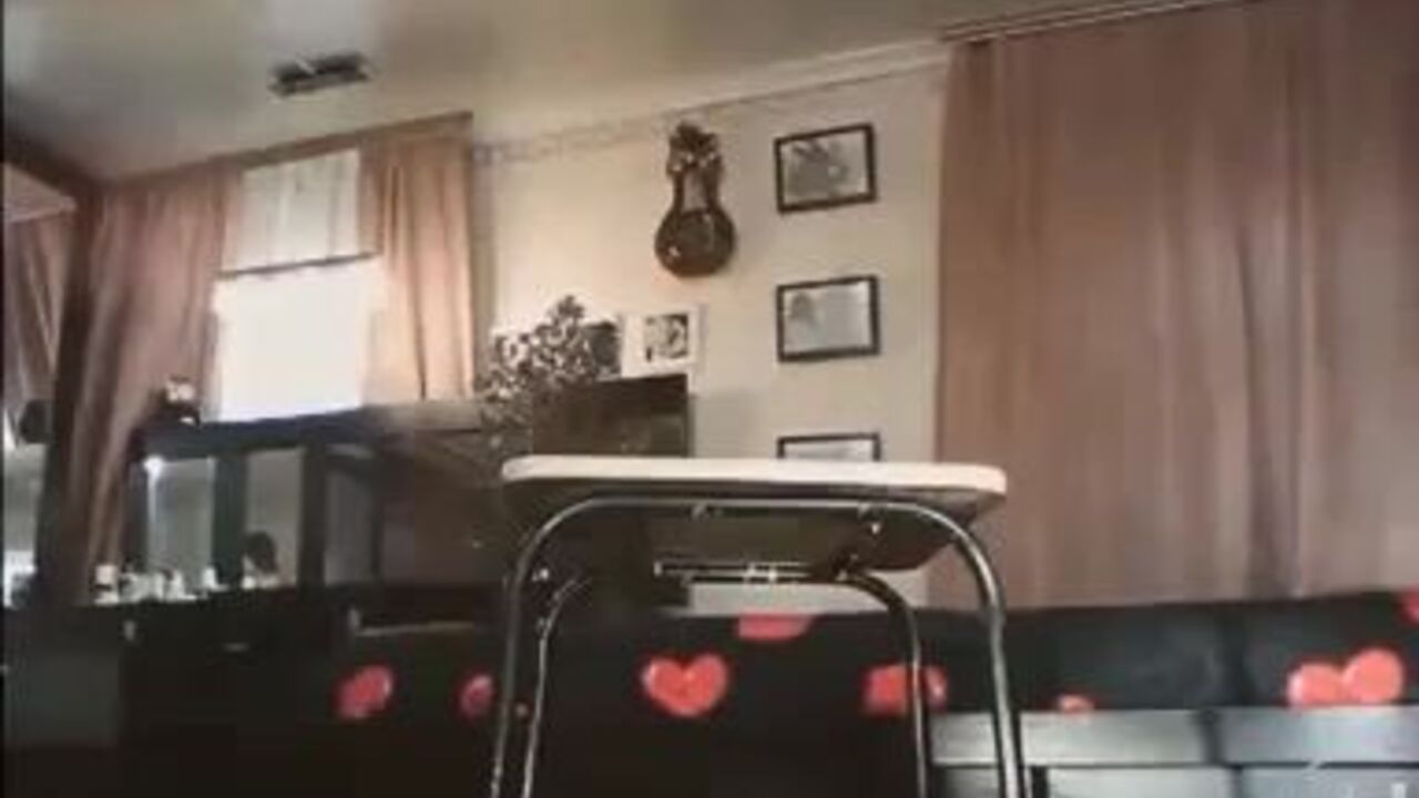 Watch this kinky scat slave get her pussy and ass stuffed with hot jizz