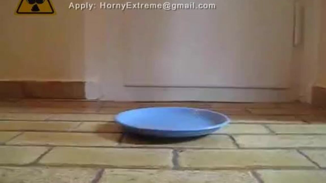 German teen takes a hot load on her plate and begs for more