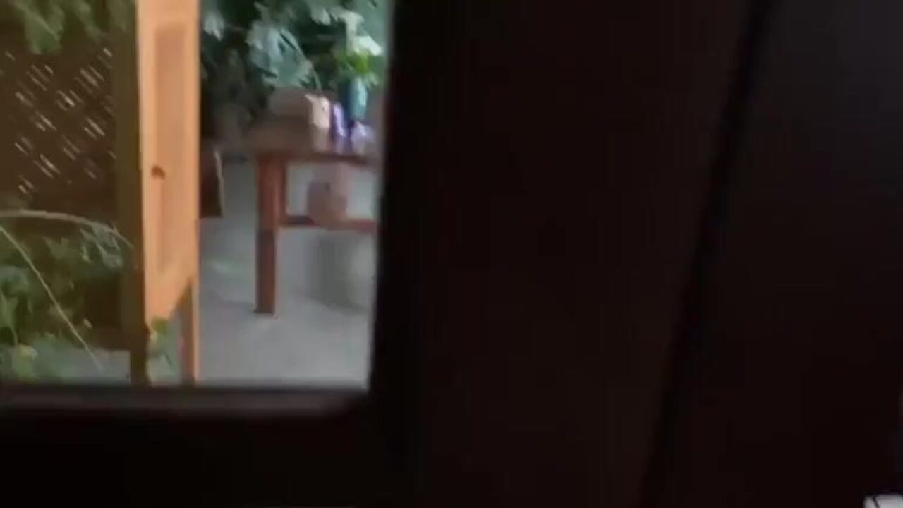 Watch the scariest of CRAZY Poo's scat fetish videos!