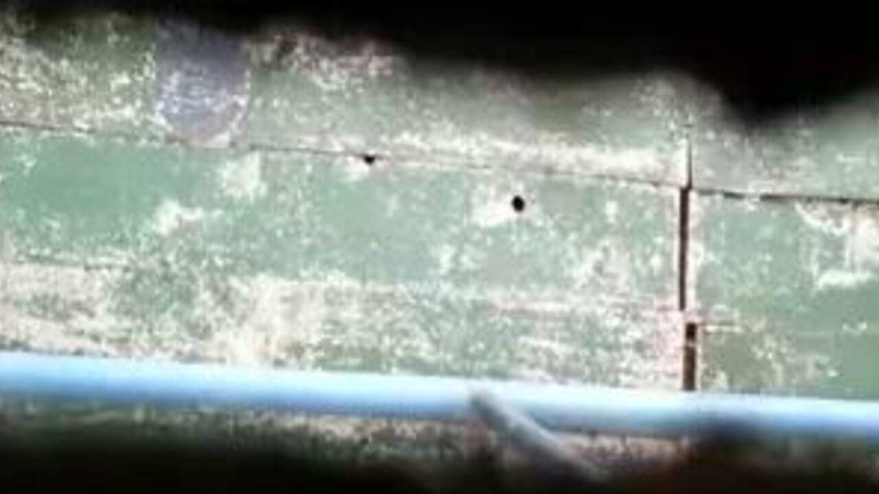 Watch these filthy porn videos as scat girls get their pussies drilled in public