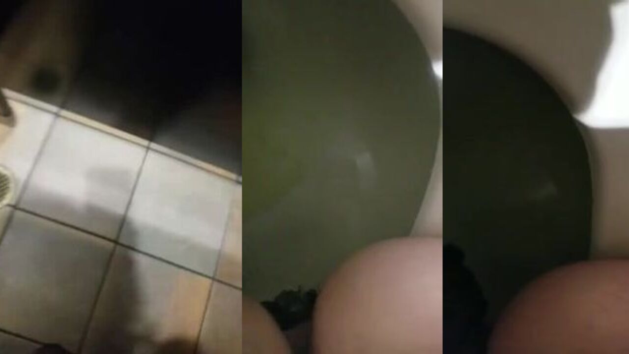 Watch this filthy slut get her scat wet and wild in the bathroom of a restaurant