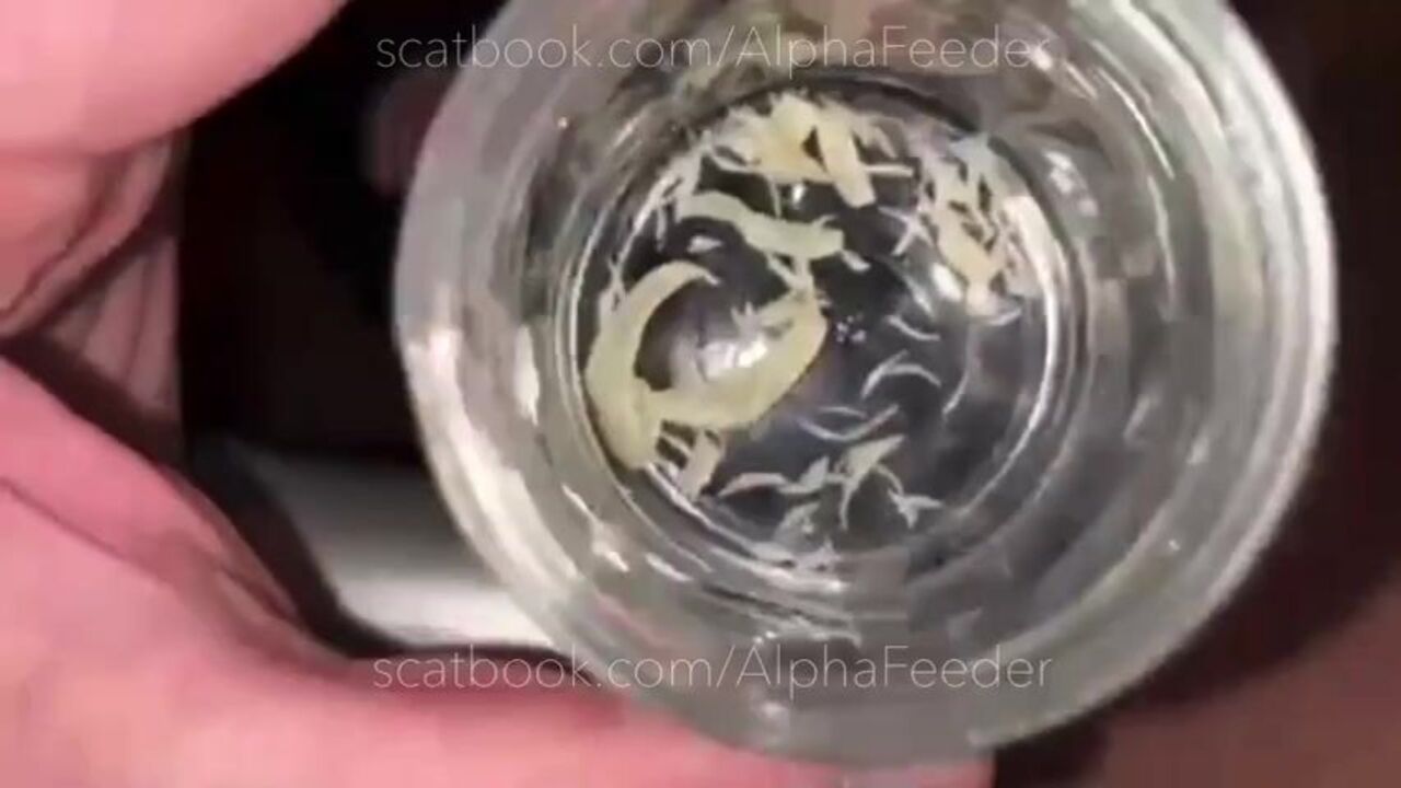 Get off to my filthy turds - full video is 17 minutes long!