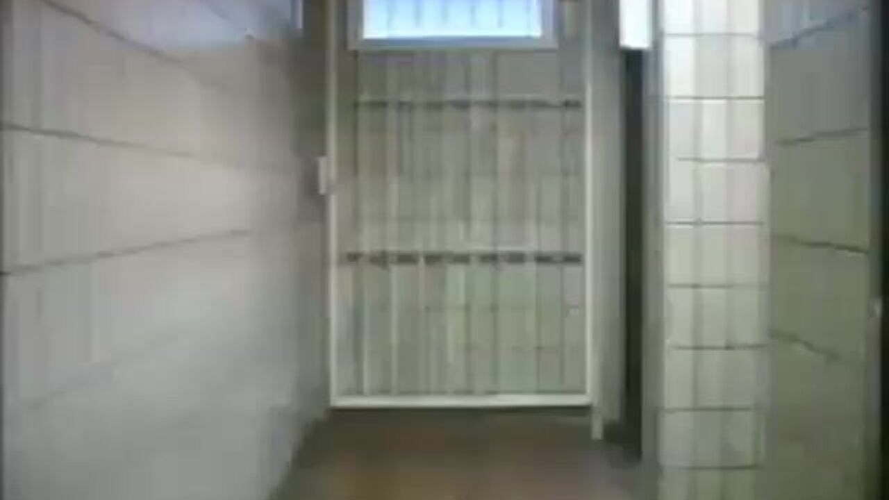 Watch scat porn videos featuring kinky slaves getting their pussies drilled in the air