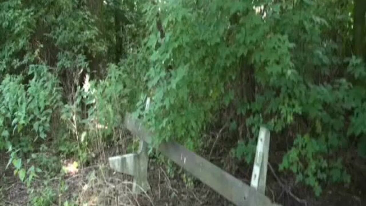 Watch these filthy scats get plowed in the open air