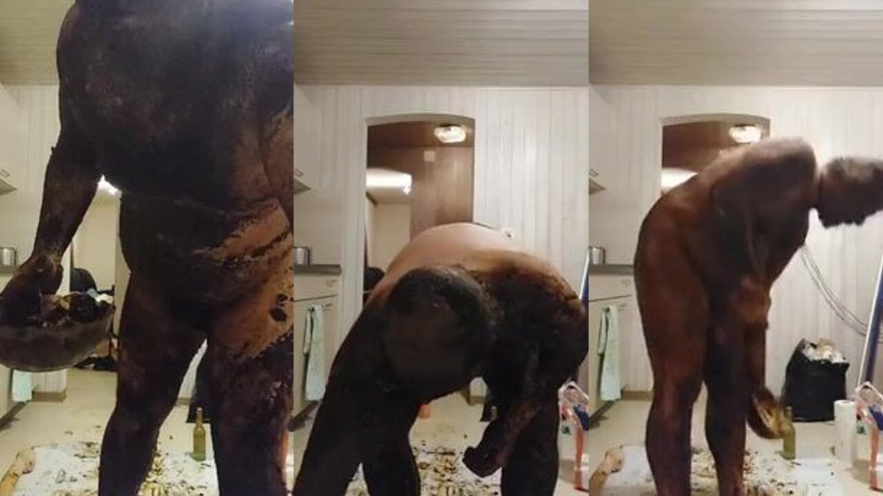 Get ready to gag on this filthy scat porn video featuring a hot guy smearing his own load all over himself