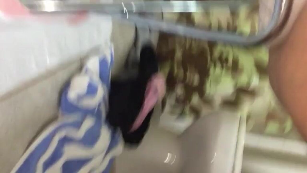 Watch this scat slave get a creamy surprise on a portable toilet