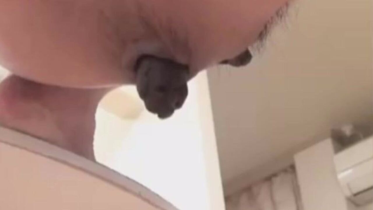 Watch this filthy porn video of a scatty slave getting her pussy and ass stuffed with dildos