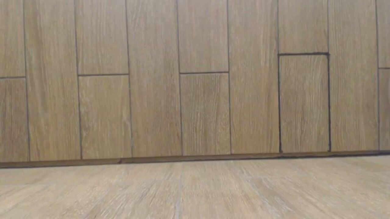 Watch this scat porn video of a filthy scat girl getting reamed by a horny dude