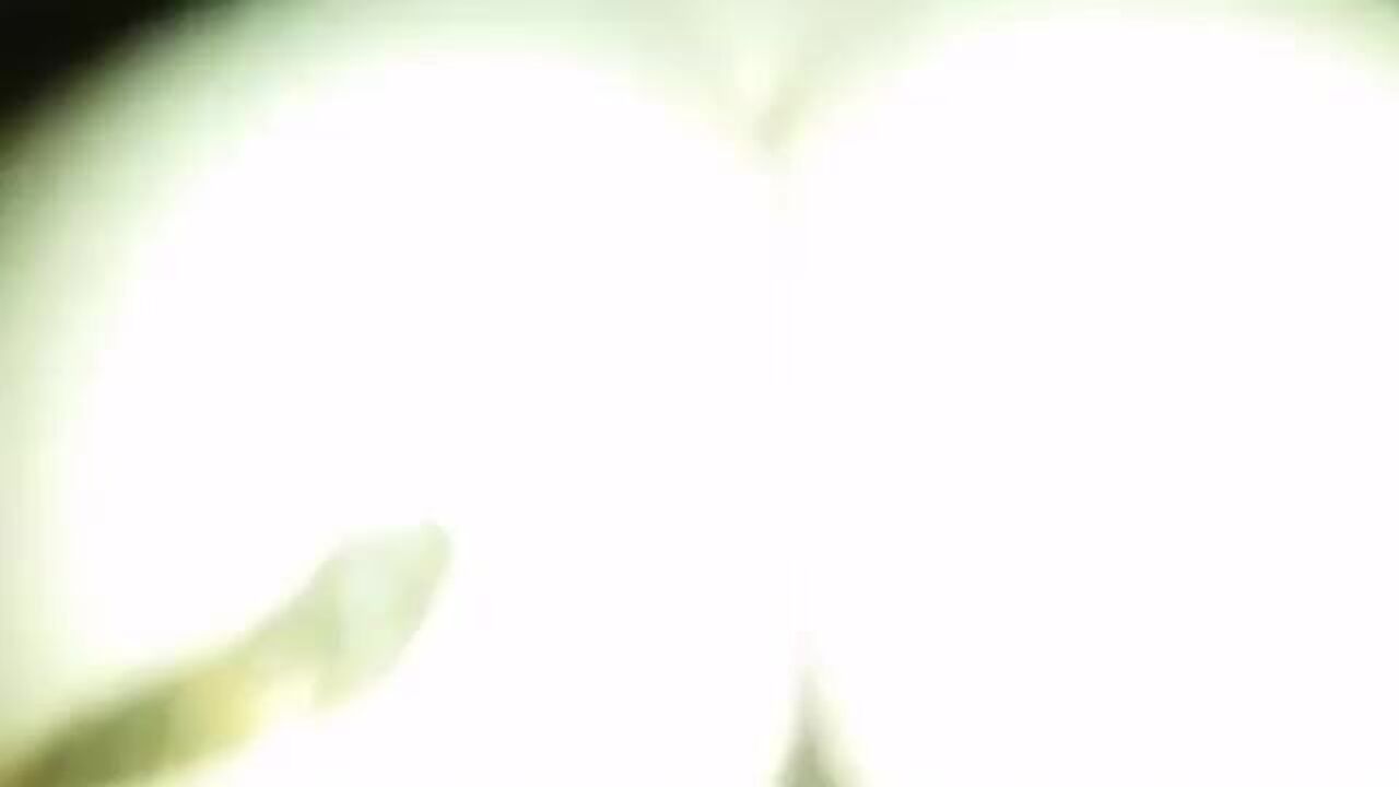 Watch this amateur slut get her pussy and ass stuffed by her bf's hard cock