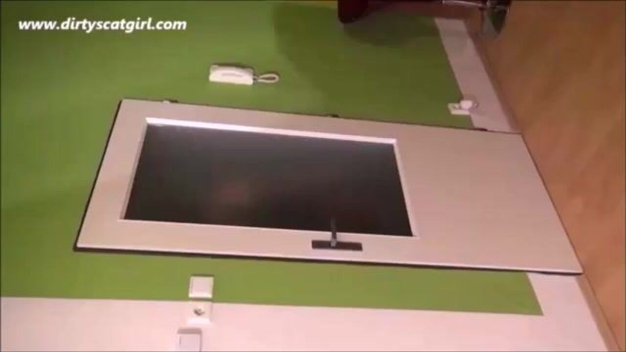 Scat porn with a new twist: Poop-filled porn for the kinky scat slave