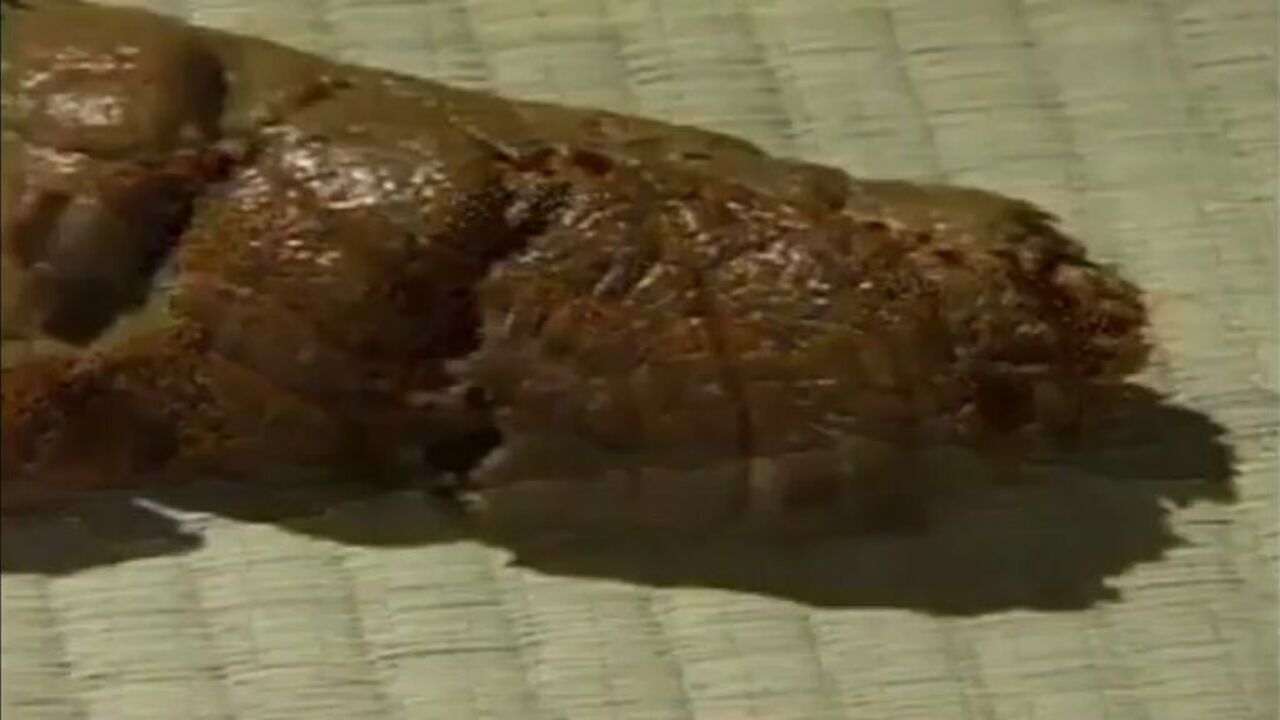 Watch this Asian slut worships her poop & craves more