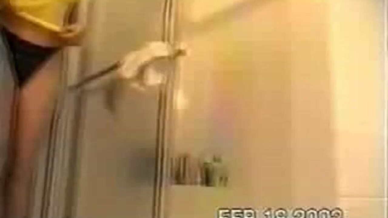 Watch Nina_B's scat slave get drilled hard in her own filth