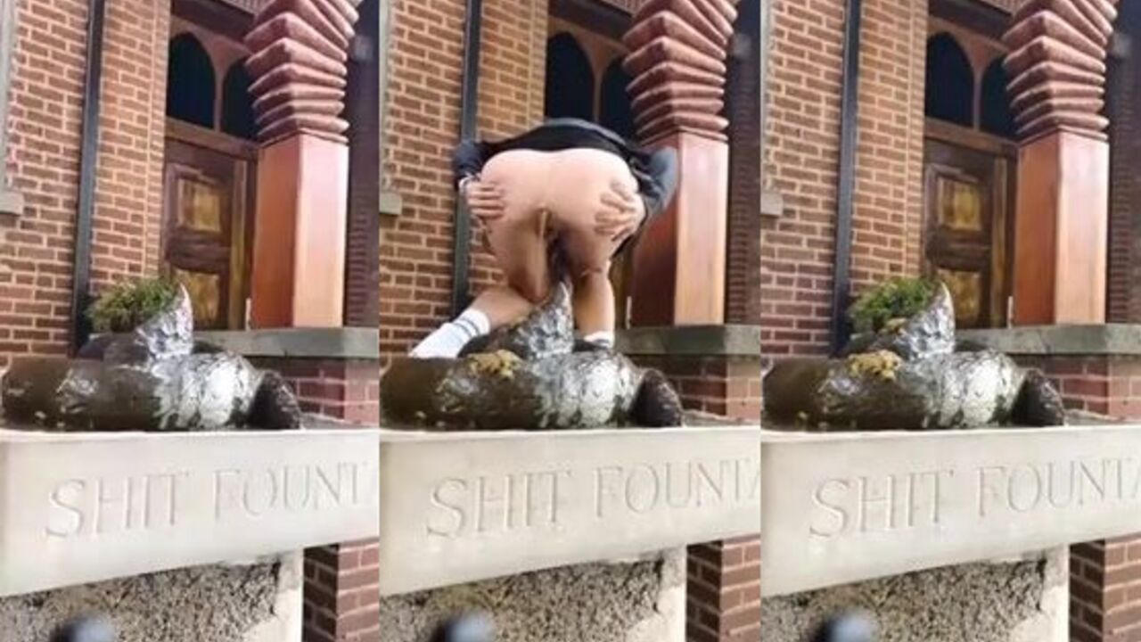 Get ready to have a wet and wild time with your favorite scat!