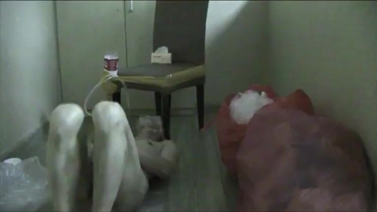 Watch Scat Femdom Club's hardcore Asian Scat Porn Club