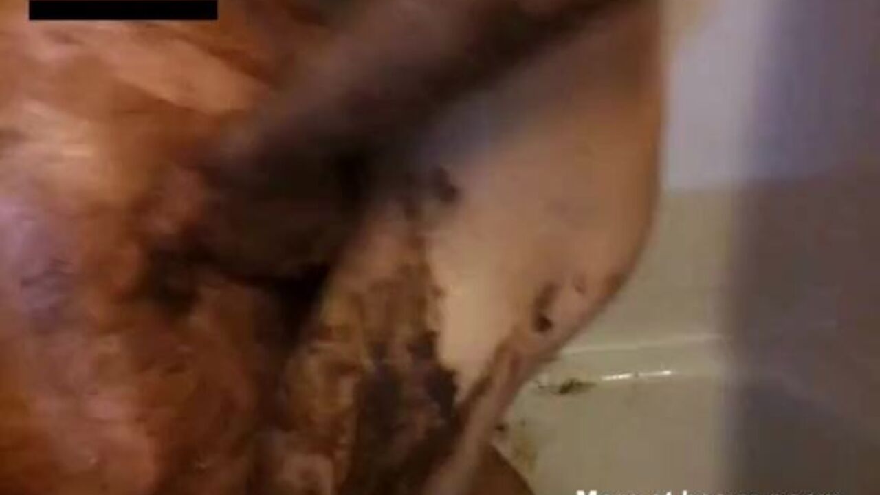 Get ready for a filthy mess of a sex session with Messy Scat Girls