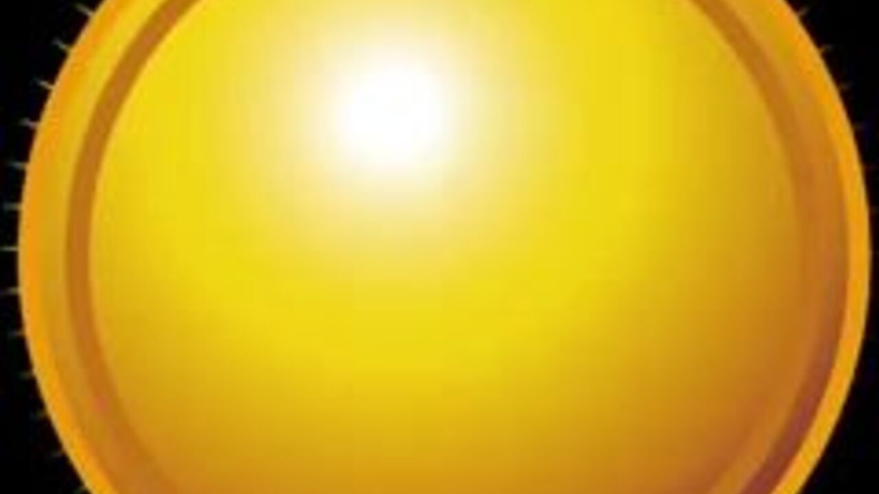 Watch as scat porn videos with slave girls get pooped in wild sex scenes