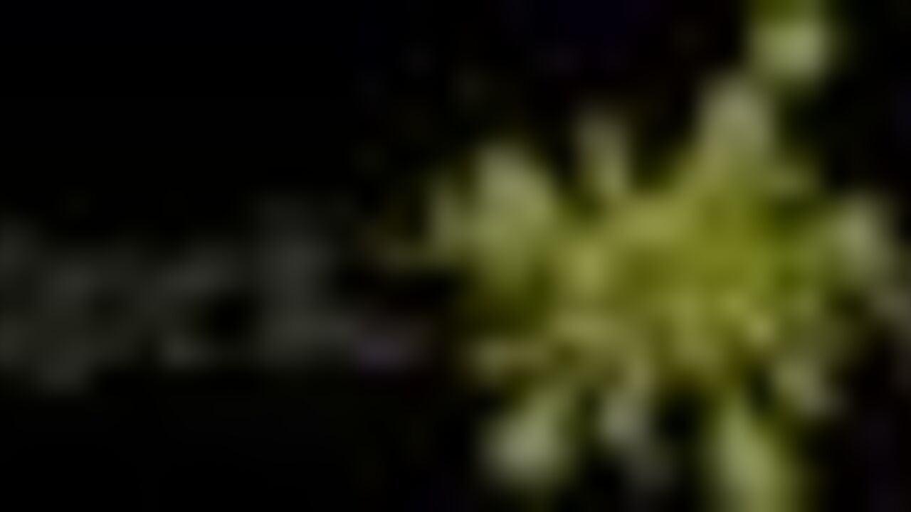 Watch this filthy scat porn video of a hot and horny t girl getting down and dirty