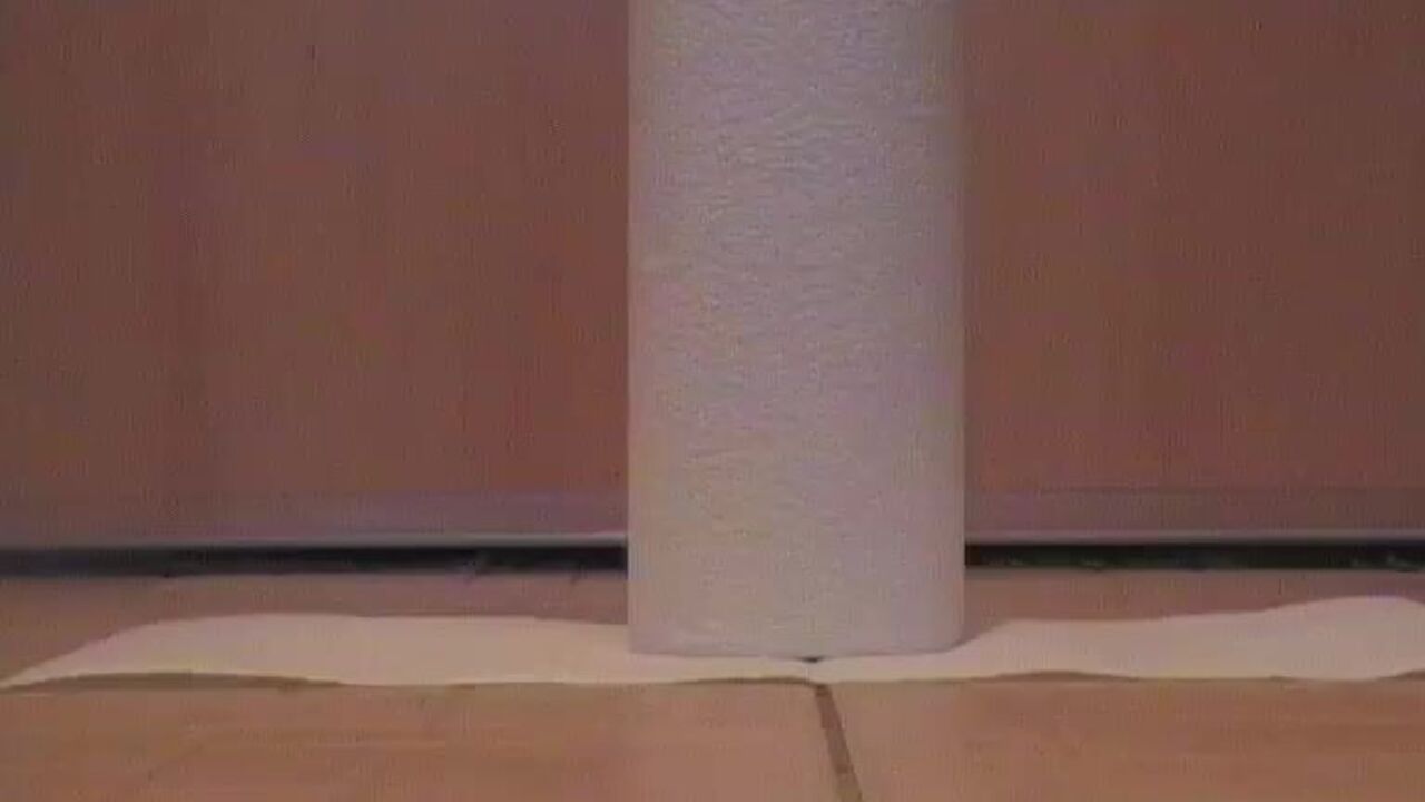 Watch this kinky slut drool as she gets her scat pounded and takes it deep in her throat