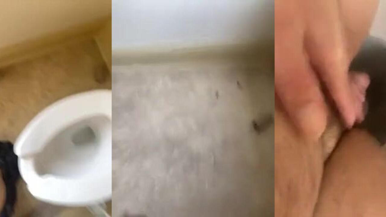 Watch as these lovers scat and pooped in the toilet