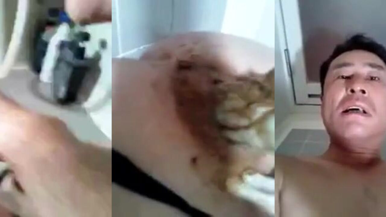 Famous dick-hungry woman gets her anal scat pooped out in a wild manabu session