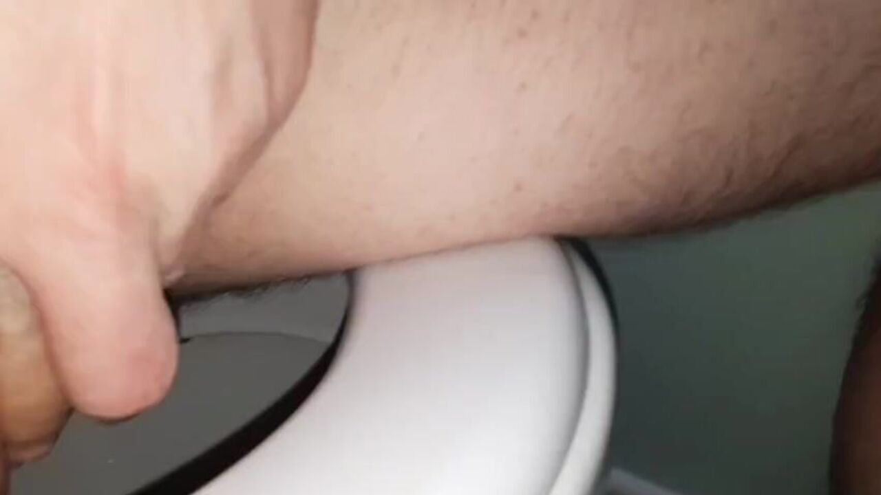Watch this kinky fetish porn featuring scat and piss in the toilet