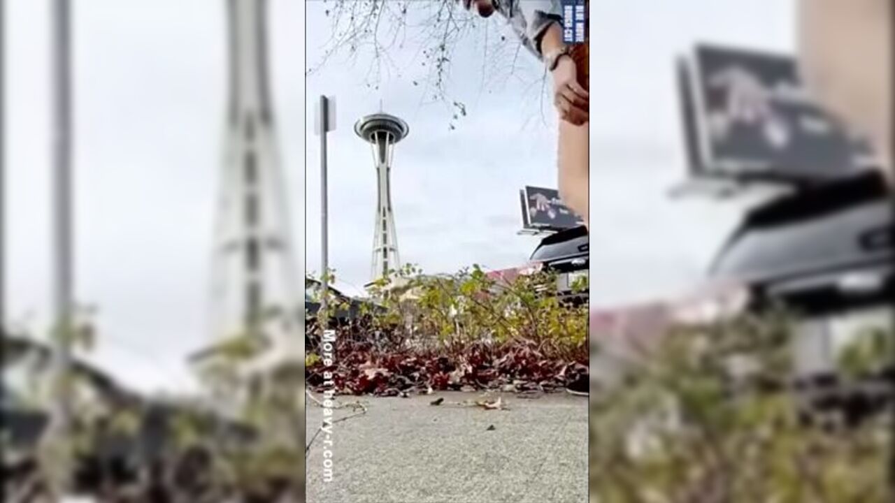 Satisfy your urges with this sizzling scat video featuring two kinky sluts