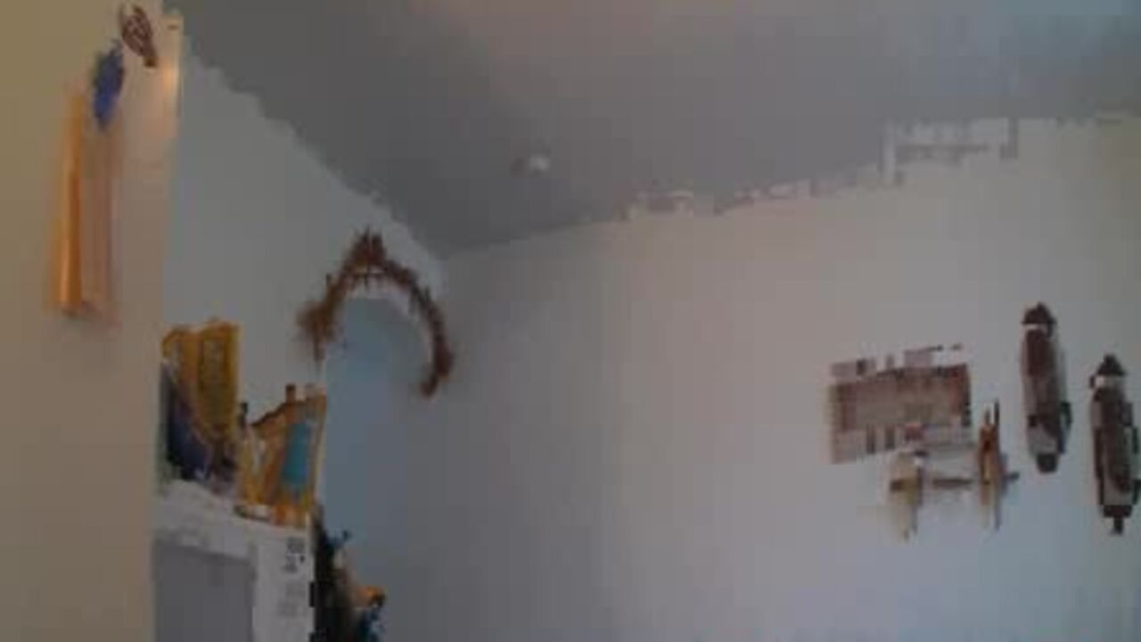 Watch as Black Mistress Shits Herself In Her Slaves Mouth - A Wild Scat Video!