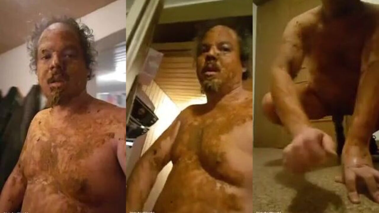 My apartment is full of scat and I'm loving it!