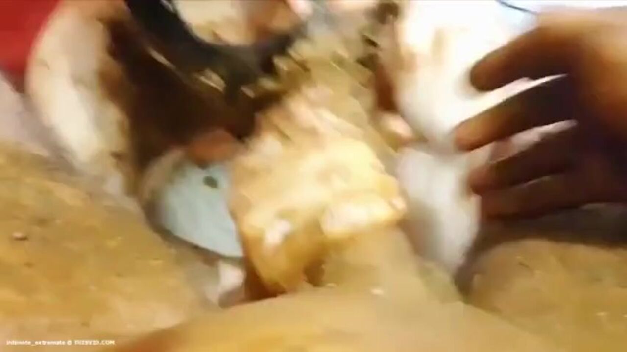 Kinky German slut gets messy with her slim body and scat