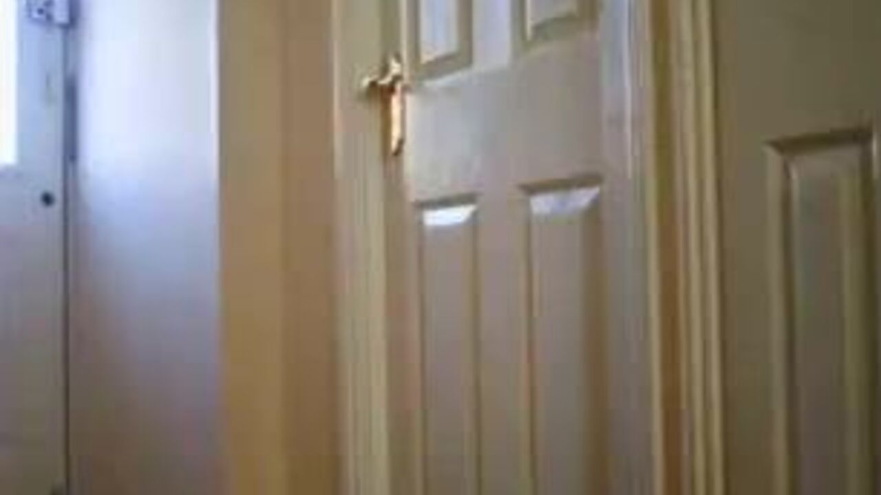 Get ready to take a load in your pants! Watch this dirty scat video of women getting their pussies stuffed!