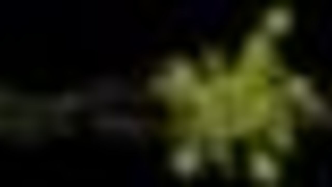 Pissing while riding my boyfriend's hard cock - a filthy scat porn video