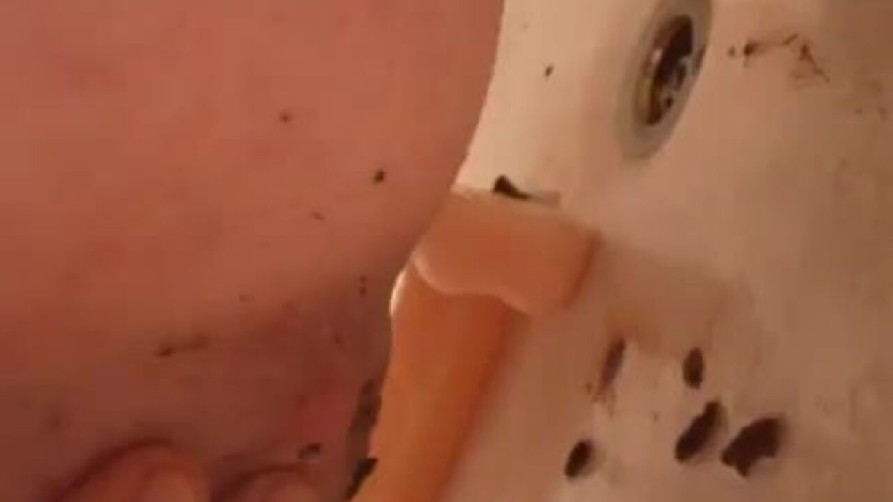 Watch these filthy scat dildos get their filthy loads out!